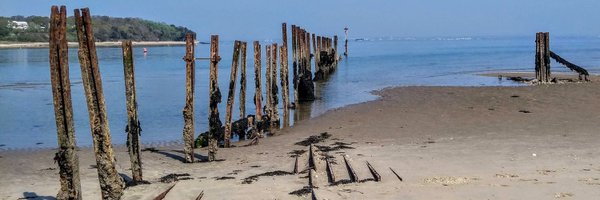 Emma_W_OK Profile Banner