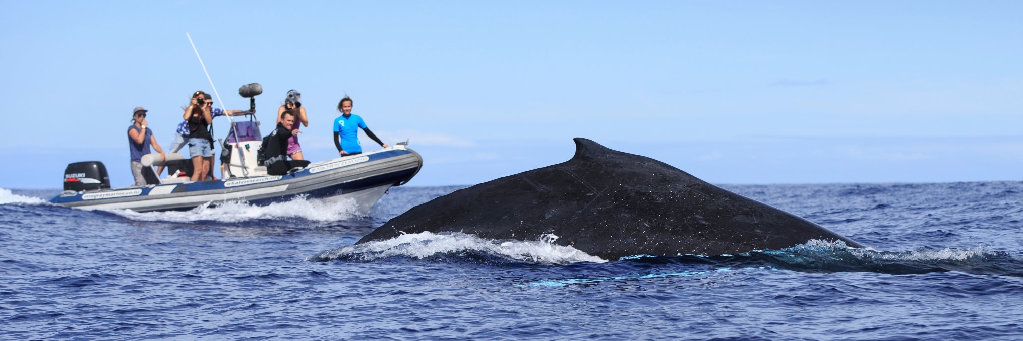 YoungOceanExplorers banner