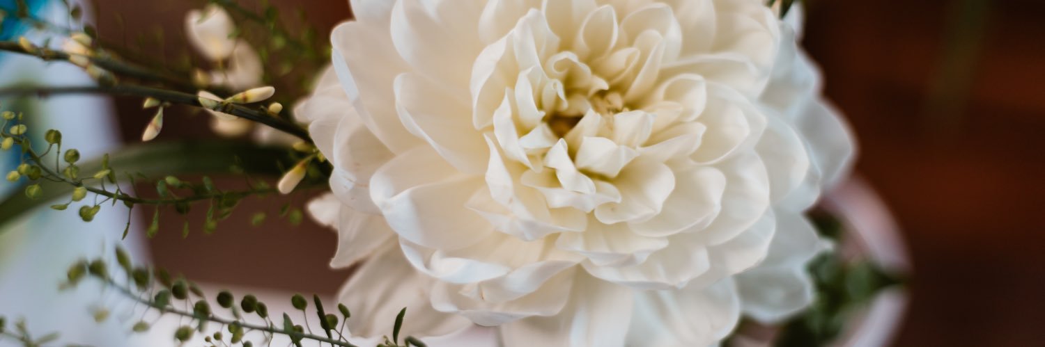 kelhals's profile banner image