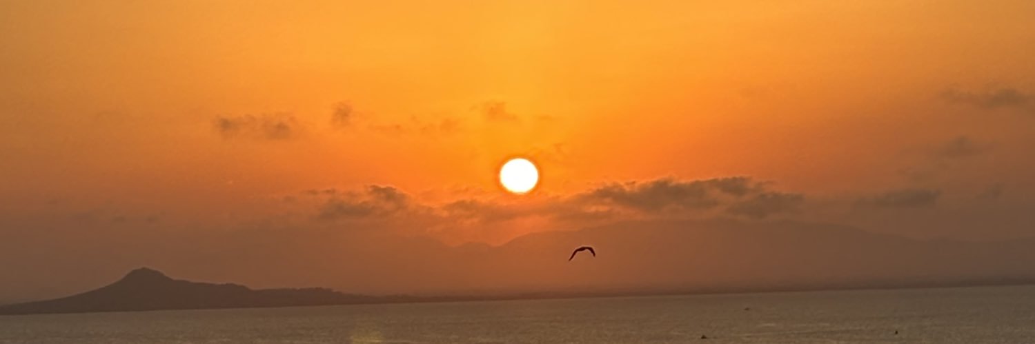 anaaa10_'s profile banner image