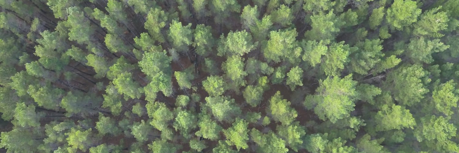 AngusFabian's profile banner image