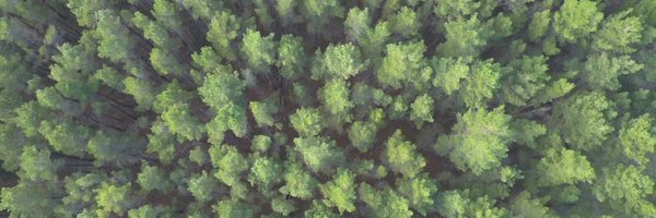 AngusFabian Profile Banner
