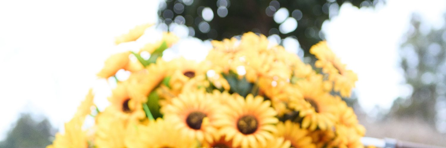 reyzabelss's profile banner image