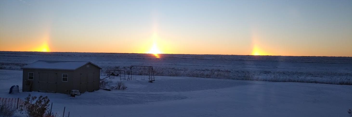 Marcel Hacault banner