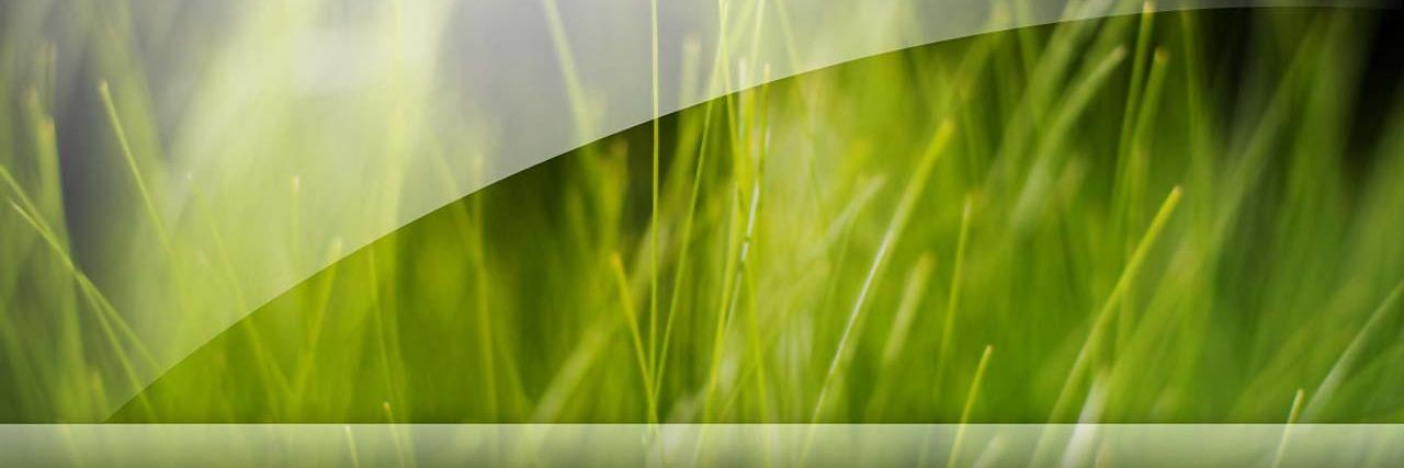MrAatef1's profile banner image