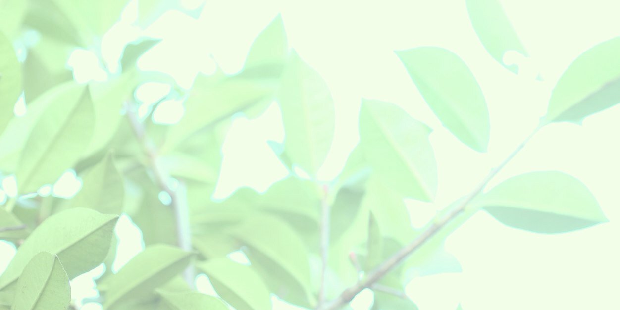 noriconer's profile banner image