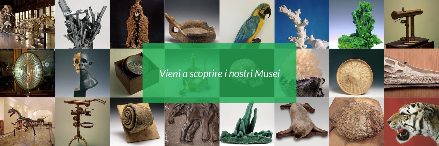 CentroMusealeNa's profile banner image