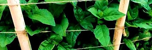 turismobetera's profile banner image