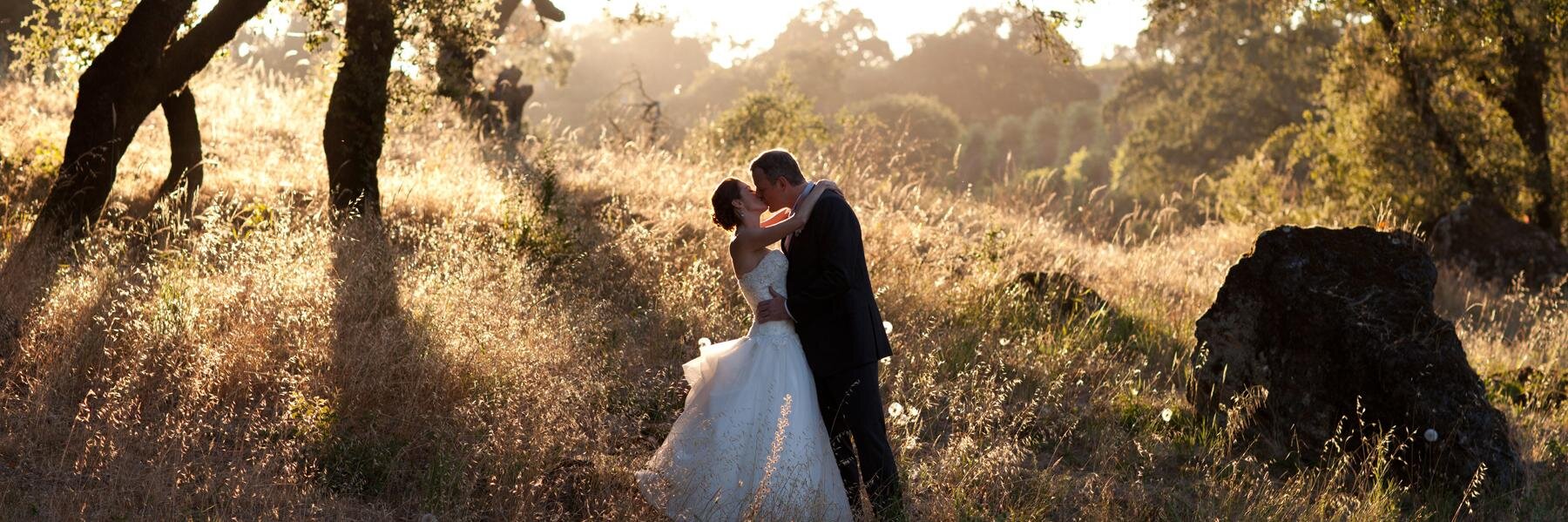 Robin Gerrard banner