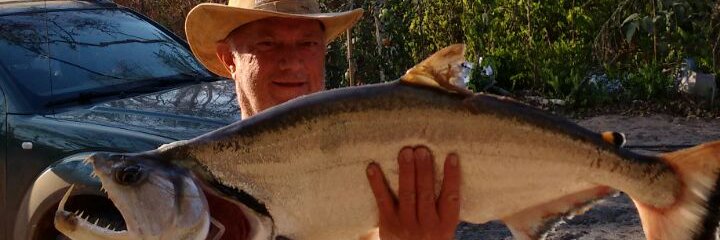 VSacilott's profile banner image