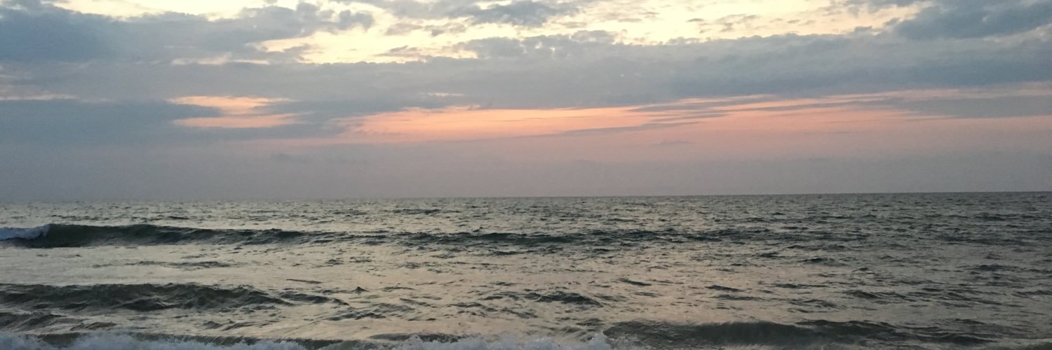 quasi_ryan's profile banner image