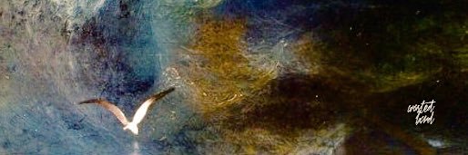 reyzacaria's profile banner image