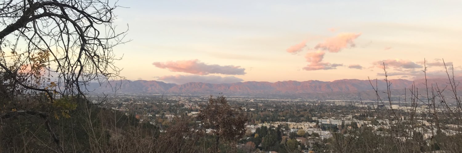 Terry Selucky banner