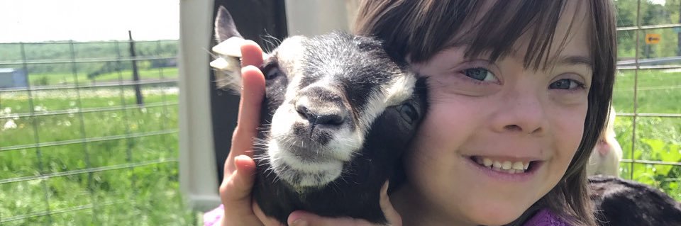 Bostonpostdairy's profile banner image