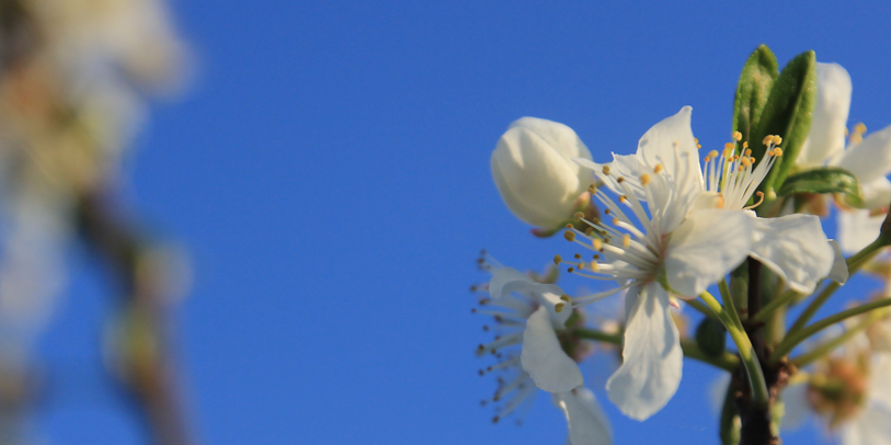 neotissimo's profile banner image