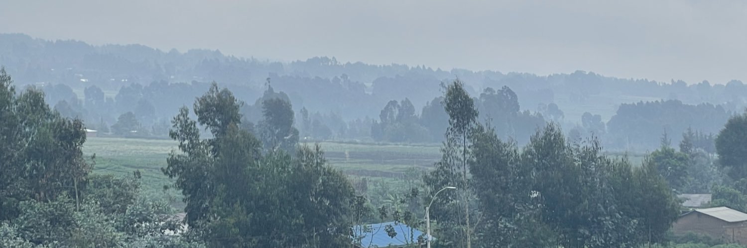 ebba ljungerud banner