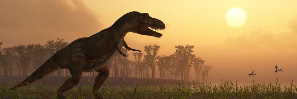 dinosaur3311's profile banner image