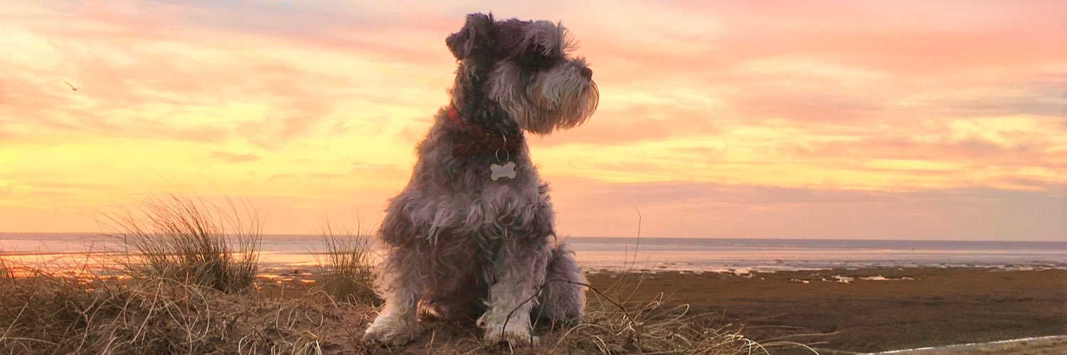 FraserFlegg's profile banner image