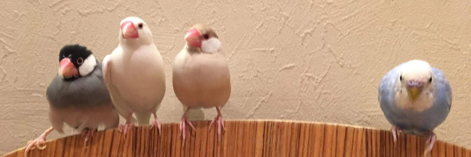 ブックス＆カフェ・ブーザンゴ's banner