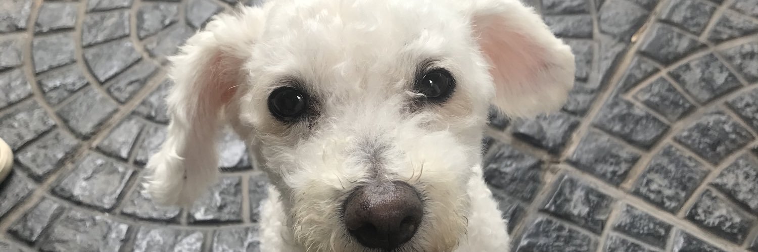 Diaz__Lu's profile banner image