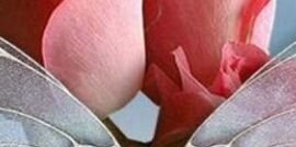 hassansar2014's profile banner image
