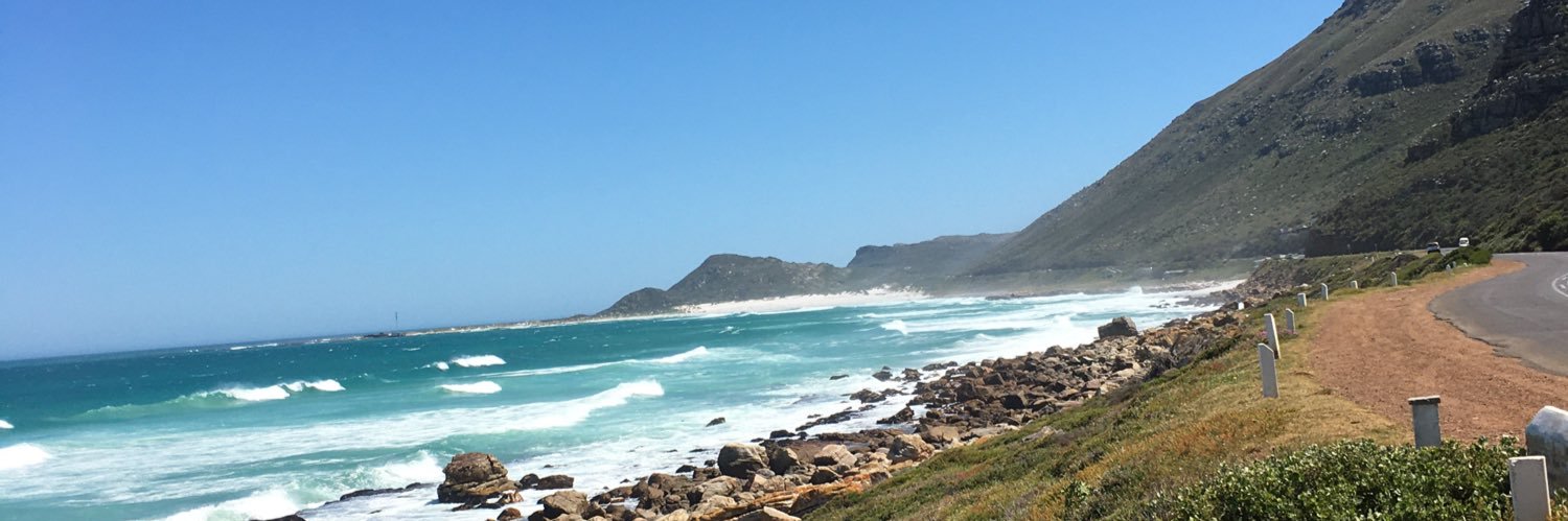 Noelene Cockcroft banner