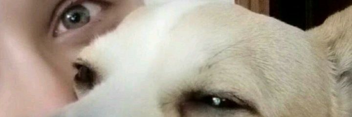 Sandra Bassa 🇪🇸 PERFECTAMENTE IMPERFECTA 🌹✨ banner