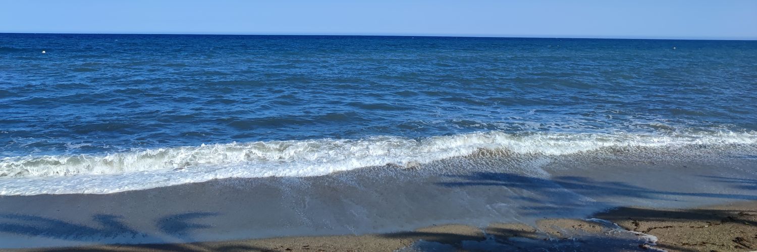 RastaLionom's profile banner image