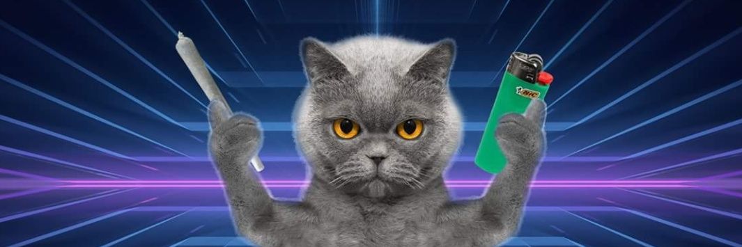 Thomas Benefield banner