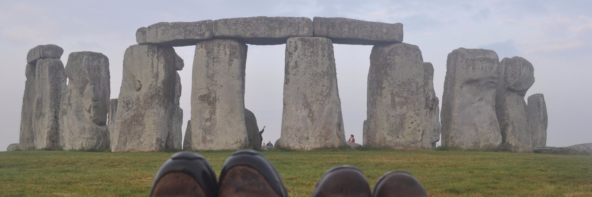 Daisy Edwards banner