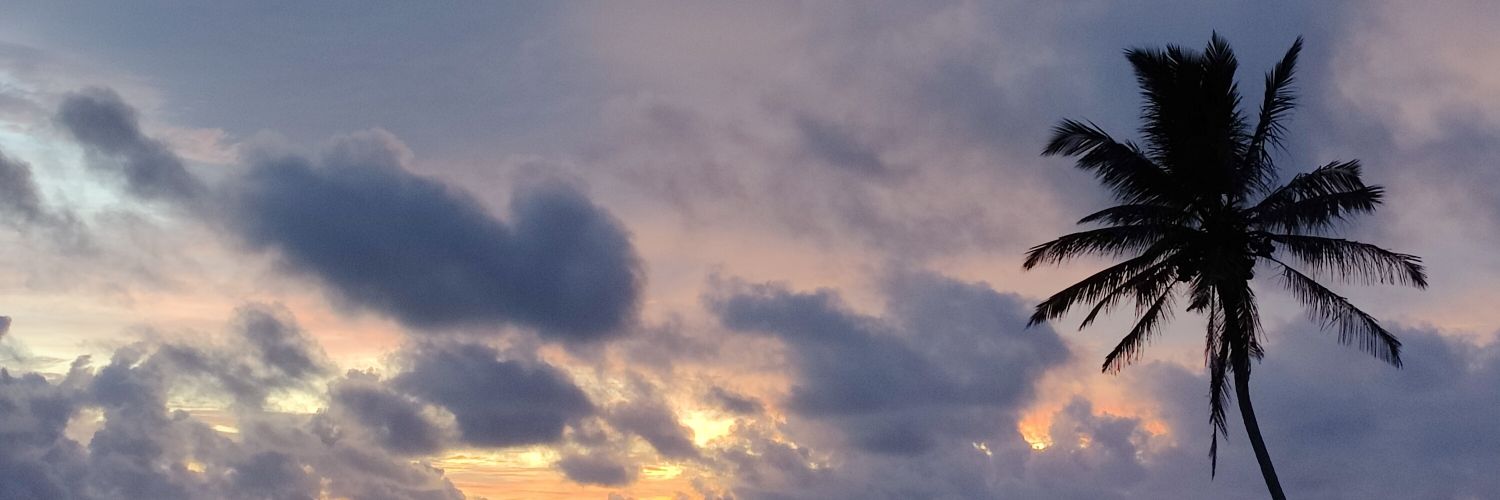 MaryamAzwer's profile banner image