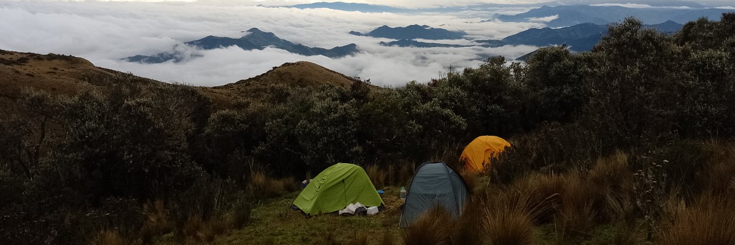 Carlos Martel banner