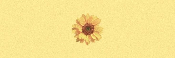 nerusssss's profile banner image