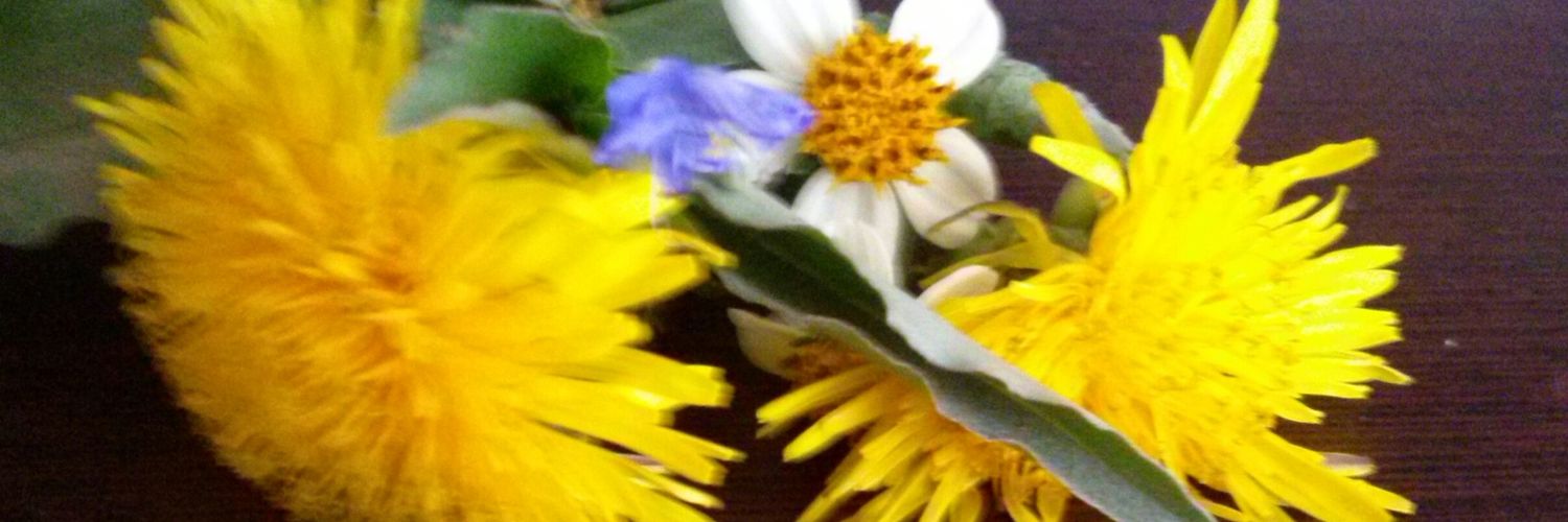 vaneprincess91's profile banner image