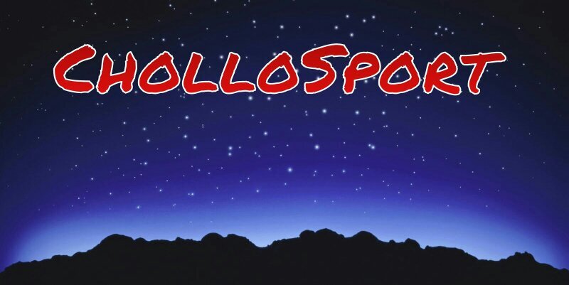 sportchollo's profile banner image