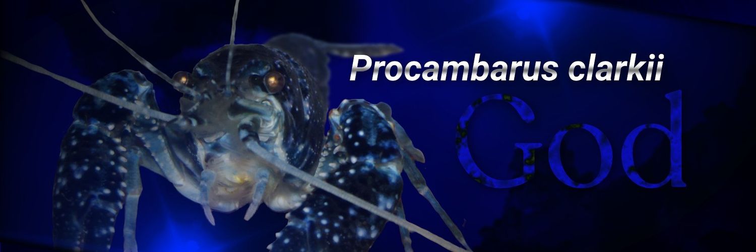 MYochn's profile banner image