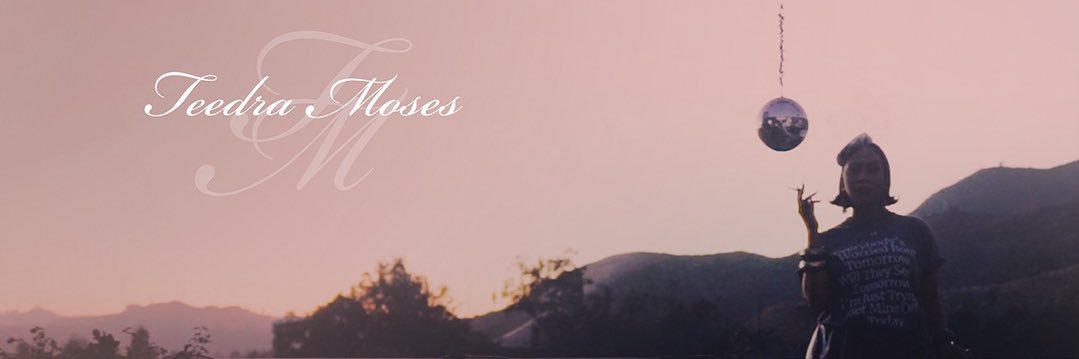 Teedra Moses banner