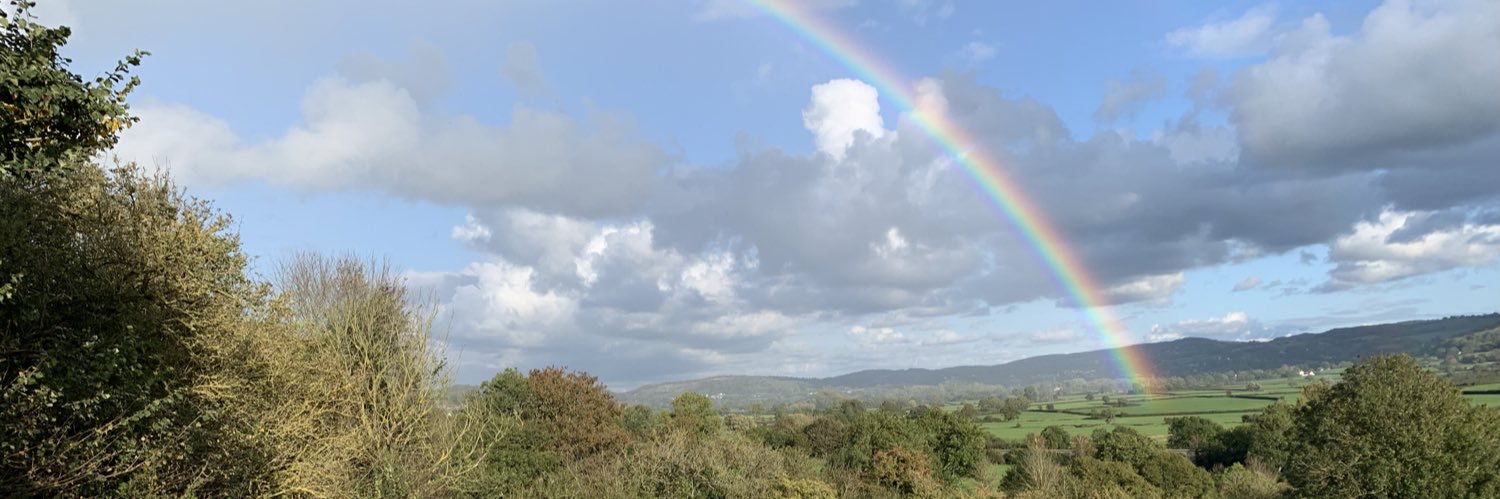 Matthew Avison banner