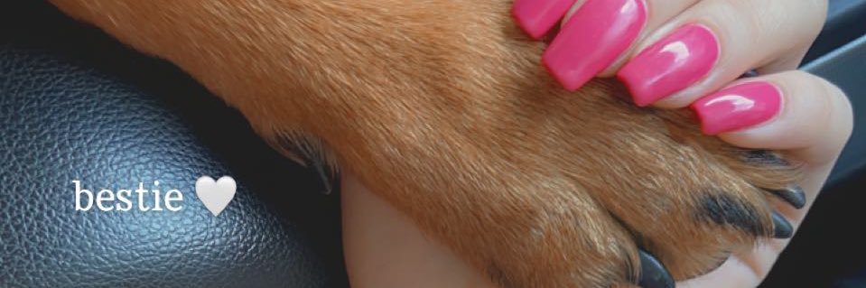 MaxfeldtEmily's profile banner image