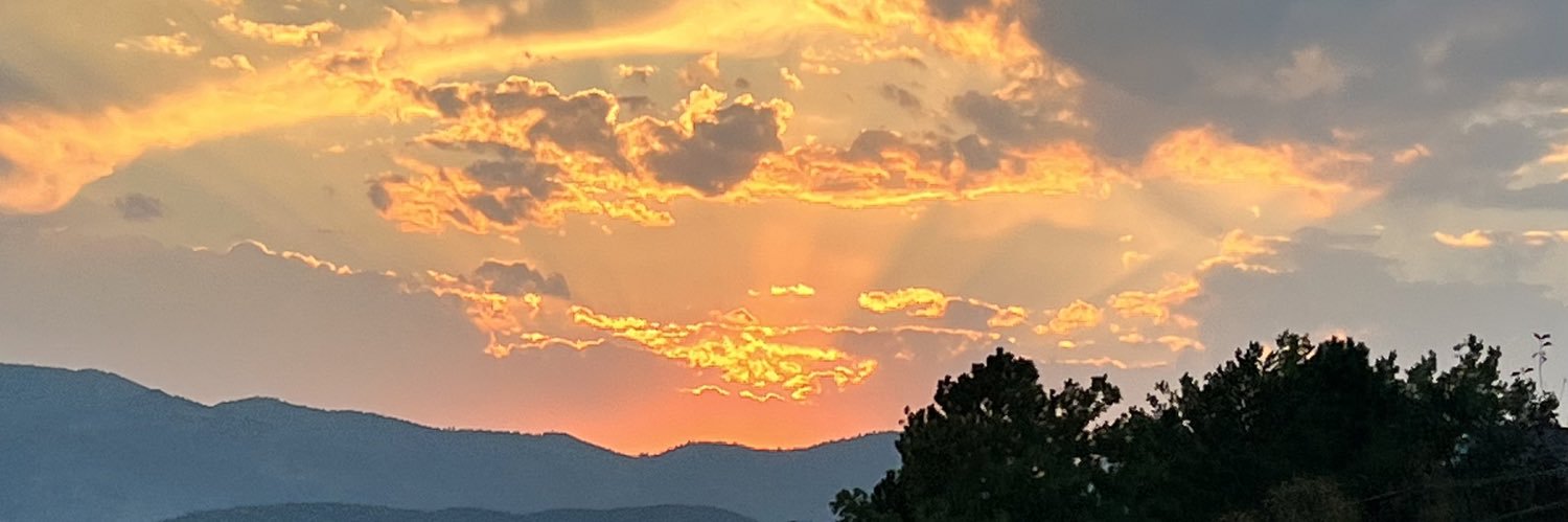 BrandiBeilman's profile banner image