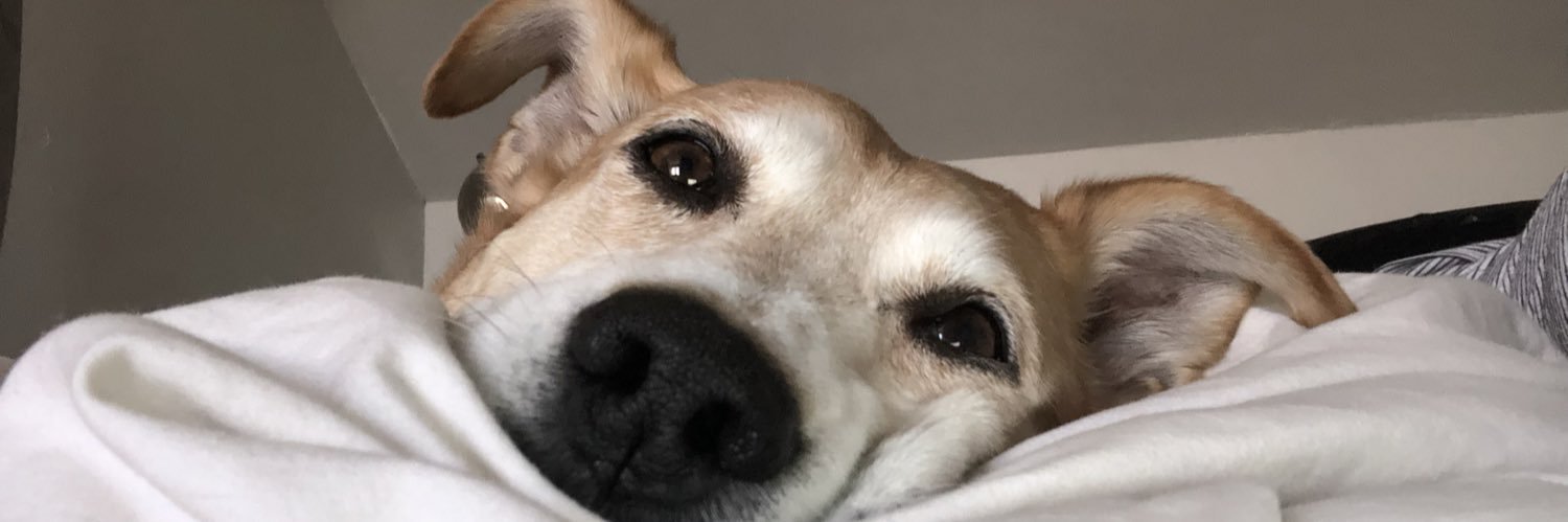 megbatch's profile banner image