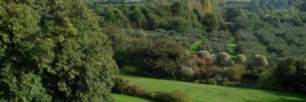 AliCapper Profile Banner
