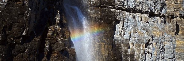 TennBlueBelle Profile Banner