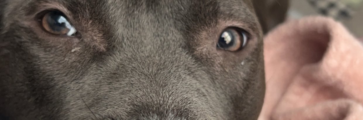 kkkrris's profile banner image