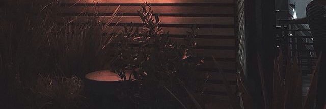 diegmartinez10's profile banner image