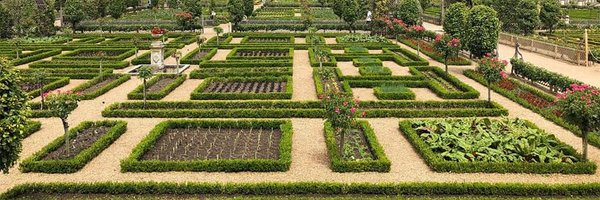 zoemaslow Profile Banner