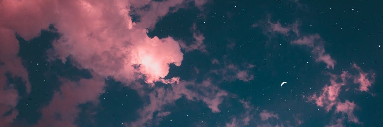 sofiaferre_'s profile banner image