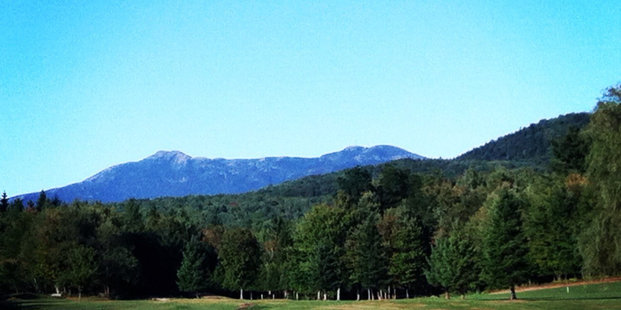 Timmy MacDonnell banner