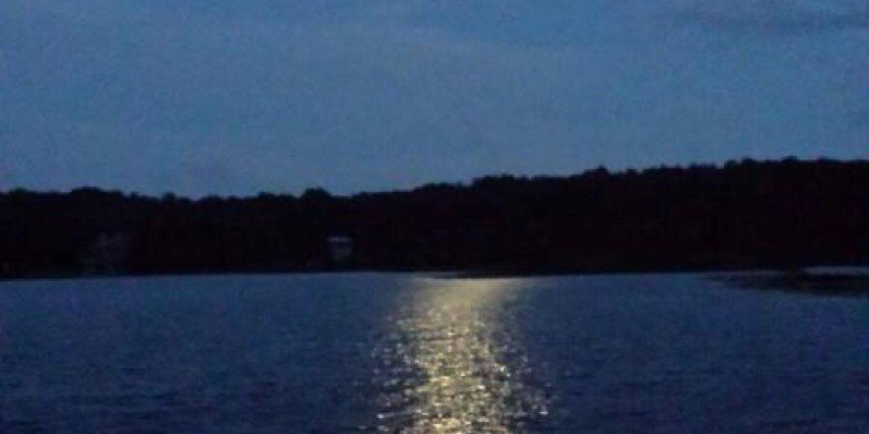shawnzilla66's profile banner image