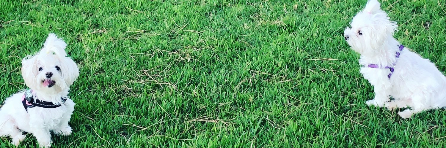 Sandra212_'s profile banner image